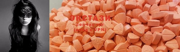 дживик Сясьстрой