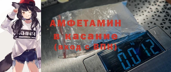 ешки Вяземский