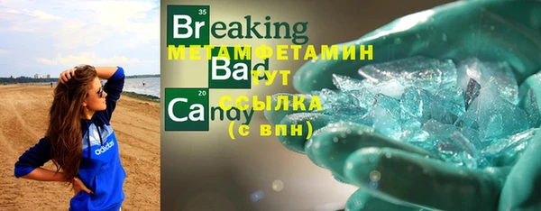 индика Володарск